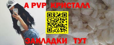 a pvp Дубна
