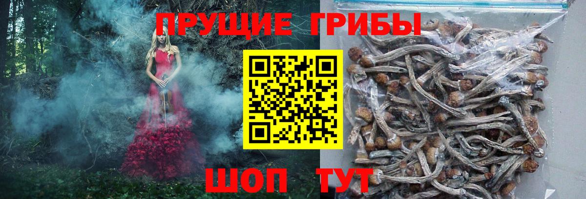 как найти закладки  Вход с VPN  Минеральные Воды  Галлюциногенные грибы прущие грибы 